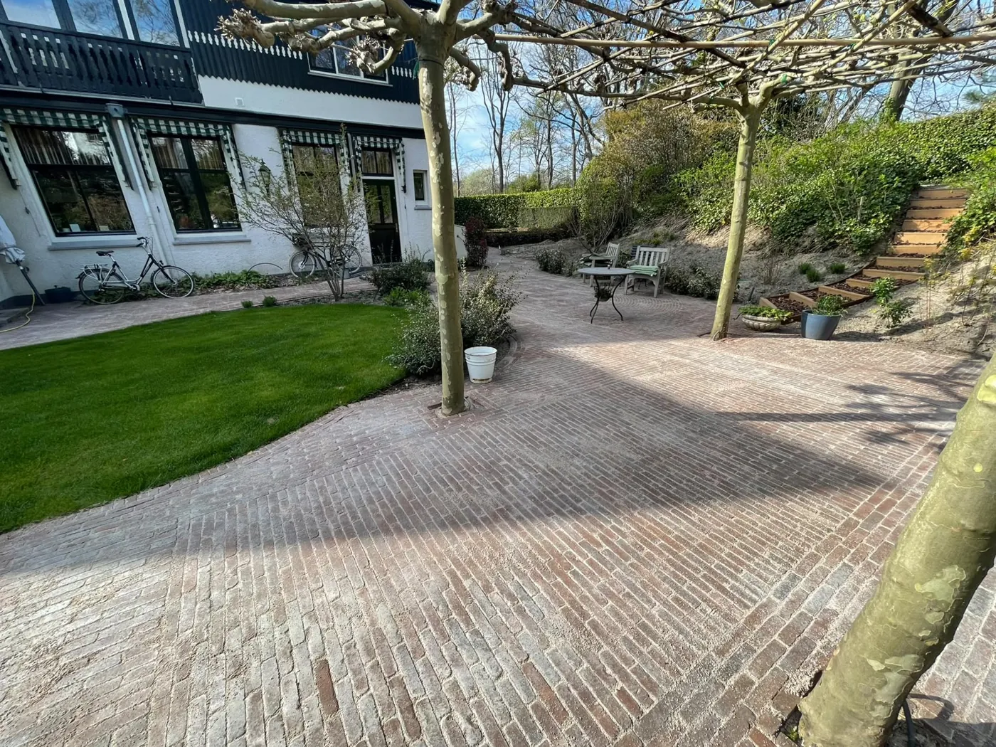 Terras en pad onder de leilindes